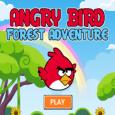 Angry Bird Forest Adventure